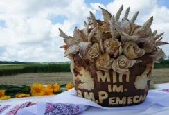Українські селекціонери зацікавлені у співпраці з Угорщиною