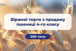 На біржових торгах продають 200 тонн пшениці