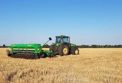 На Дніпропетровщині після збирання гороху та озимої пшениці сіють амарант