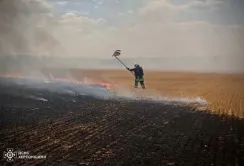 На Херсонщині знову горять поля з пшеницею