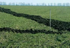 На Миколаївщині фермер самовільно захопив земельну ділянку