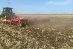 На Миколаївщині готуються сіяти озимий ріпак