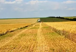 На Одещині закінчили збирати ранні зернові, – підсумки