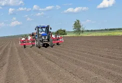 На півдні України триває посівна овочів другого врожаю