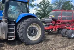 На розмінованих землях Миколаївщини посіють ріпак