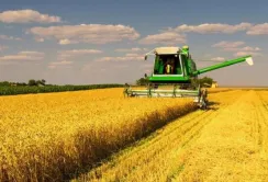 На Тернопільщині хочуть зібрати рекордний врожай