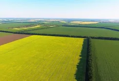 Справа є – землі немає. НАБУ шукає землі, в захопленні яких звинувачують ексміністра Миколу Сольського