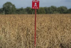 Уряд змінив порядок надання компенсації за розмінування сільгоспземель