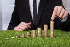 Місцеві бюджети Прикарпаття отримали 314 млн грн земельного податку
