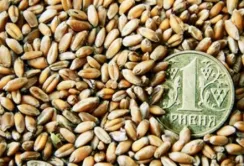 Податки по спецрежиму ПДВ: скільки отримав Держбюджет?