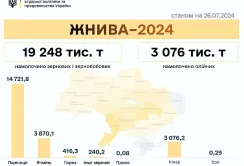 Жнива 2024: намолочено 22 млн т зернових та олійних