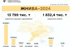 Жнива-2024: намолотили 15,7 млн т зернових та олійних