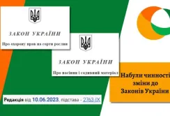 Нові зміни у сфері насінництва та прав на сорти – деталі
