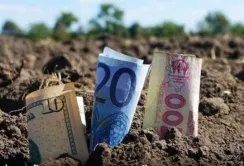У січні найдорожча земля була в Івано-Франківській області