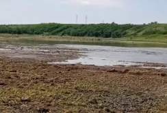 Зруйнована дамба та затоплені поля — наслідки негоди на Харківщині