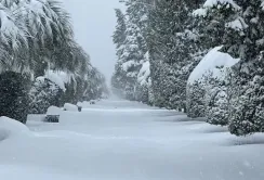 Негода затримує імпорт продовольства в Грузію