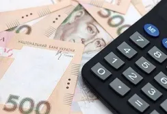 Компанія-постачальник сої відшкодувала понад 11 млн грн несплачених податків