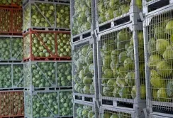 Нестача овочесховищ в країні суттєво впливає на ціни, – Соломчук