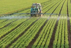 В поточному році застосування аграріями ЗЗР скоротилось на 20%