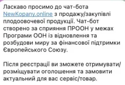 Створено чат-бот, який замінить ринок в Великих Копанях