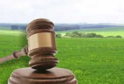 Дослідне господарство НААН незаконно здавало в оренду 3725 га землі, призначеної для наукової діяльності