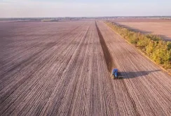 У Болградському районі Одещини розпочалась незвичайна акція з відновлення лісосмуг