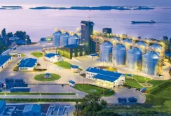 Нібулон запустив сервіс «Кабінет постачальника»
