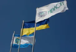 "Нібулон" зарибив Дніпро та Південний Буг на 1,5 млн грн