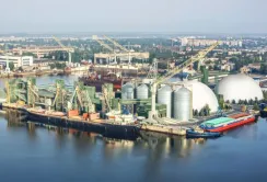 «Нібулон» посіяв на 40% менше пшениці, ніж минулого року