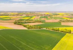 Уряд планує скасувати частину нормативних актів, що стосуються земельних питань