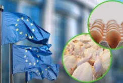 Нові правила торгівлі агропродукцією з ЄС: невідомо, як будуть діяти екстрені гальмування, – Денис Марчук