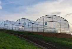 Понад 10 млн грн грантової підтримки отримали ще 5 агропідприємств на нові сади та теплиці
