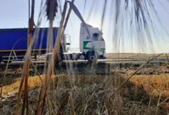Якими шляхами торує українська агропродукція