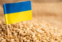 Україна має отримати компенсацію за обмеження експорту агропродукції до ЄС, – Ольга Стефанішина