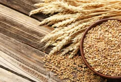 Обмеження на імпорт агропродукції з України будуть скасовуватись поступово, – Єврокомісія
