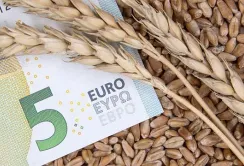 Україна готова підтримати обмеження на імпорт своєї агропродукції до ЄС, – заступник міністра