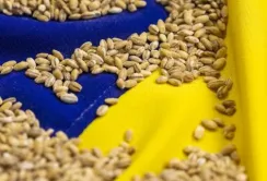 Світова продовольча безпека неможлива без українського зерна, – Тарас Висоцький