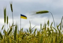 Польща, Угорщина та Словаччина мають зняти одностороннє обмеження на імпорт українського зерна, – Єврокомісар