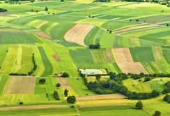 Президент відповів на петицію ВАР про обмеження продажу землі