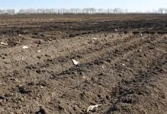 На очищення грунтів, забруднених внаслідок бойових дій, знадобиться десятки років, – еколог