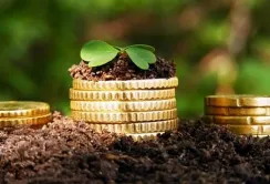 Уряд ухвалив нові правила отримання документів про нормативну оцінку землі