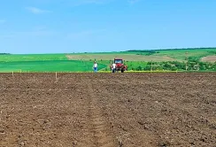 На Одещині почали сіяти бавовник