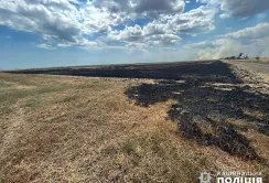 На Одещині фермер вирішив зекономити на прибиранні стерні – тепер йому загрожує до 5 років позбавлення волі