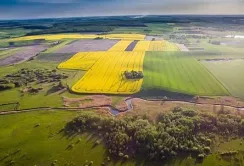 Верховна Рада може перенести строки оформлення невитребуваних земельних паїв