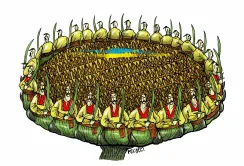 Воєнний соняшник, кукурудза і буряки: яких сюрпризів чекати
