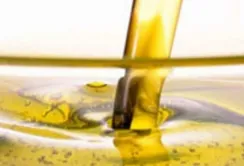 Єврокомісія уточнила прогноз врожаю олійних культур