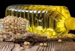 USDA прогнозує зменшення світового виробництва та запасів олійних культур