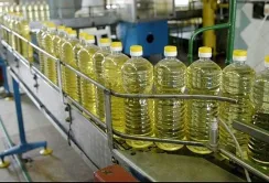 Один із олійних заводів Kernel припинив роботу через дефіцит сировини