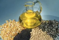 Олійні культури в Україні змінюють структуру посівних площ