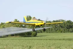 У гліфосату може з'явитися серйозний конкурент — глюфосинат
